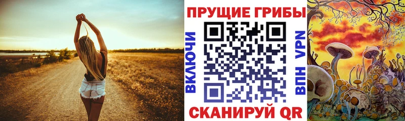 Купить где  Инза  Псилоцибиновые грибы мицелий 